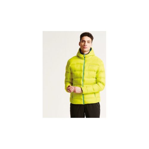 Dare 2b Downtime Down Fill Insulated Jacket Yellow men's Coat in Yellow