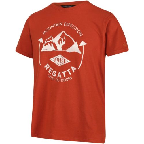 Regatta Cline IV Graphic T-Shirt Orange in Orange