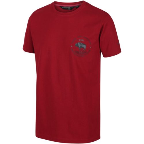 Regatta Cline IV Graphic T-Shirt Red in Red
