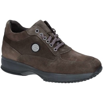 Exton 2029 men's Shoes (Trainers) in Brown
