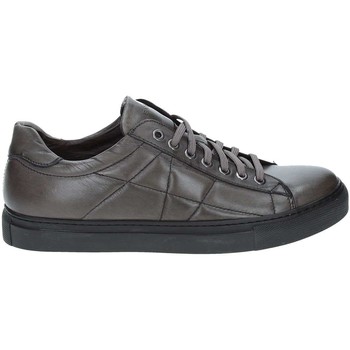 Exton 217 men's Shoes (Trainers) in Grey