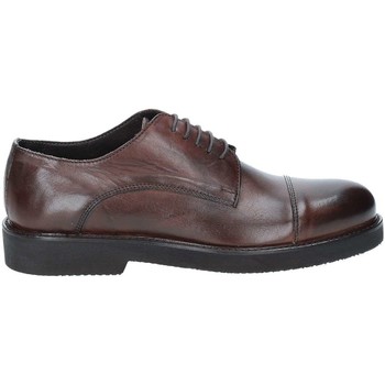 Exton 5413 men's Casual Shoes in Brown