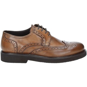 Exton 5446 Lace-up heels Man Brown men's Casual Shoes in Brown