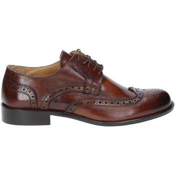 Exton 6010 men's Casual Shoes in Brown