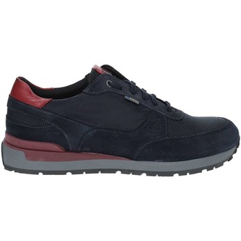 Exton 993 men's Shoes (Trainers) in Blue