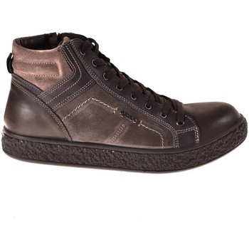 Igi co 2131311 men's Shoes (High-top Trainers) in Brown