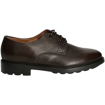 Maritan G 111333 men's Casual Shoes in Brown