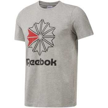 Reebok Sport DH2073 men's T shirt in Grey