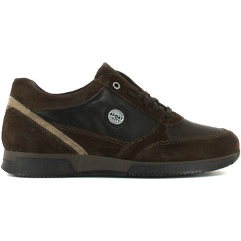 Rogers 035 men's Shoes (Trainers) in Brown