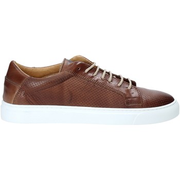 Rogers DV 08 men's Shoes (Trainers) in Brown