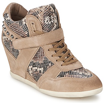 Ash BISOU women's Shoes (High-top Trainers) in Brown. Sizes available:5,6,7.5