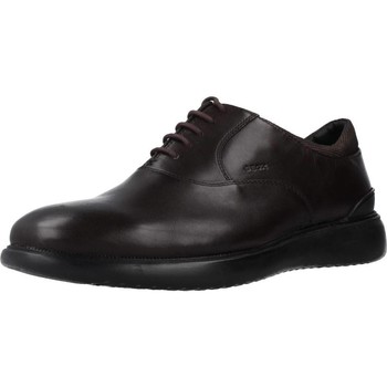 Geox U WINFRED men's Smart / Formal Shoes in Brown