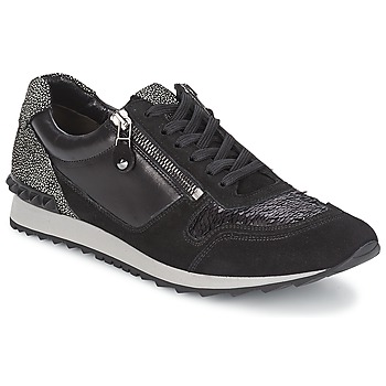 Kennel + Schmenger ELCO women's Shoes (Trainers) in Black. Sizes available:3.5